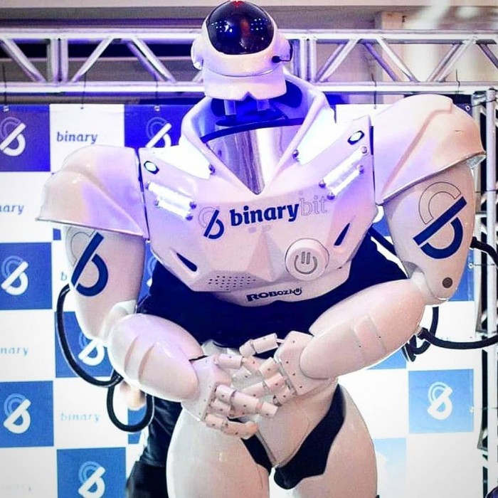 Robot